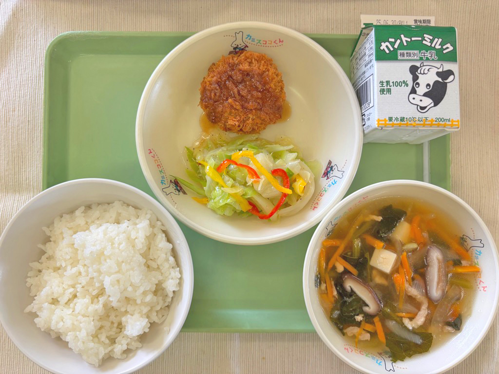 まるごとかみすの日